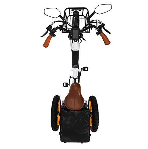 Electric Fat Trike 750W Motor and 48V Lithium Rechargeable Battery - Foldable Electric Tricycle - Etrike 24 Inch Fat Tire