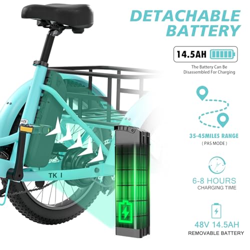 ABORON Electric Tricycle for Adults, 750W 48V Electric Trike/Suspension Fork,Three Wheel Electric Bicycle/48V 14.5Ah Removable Battery, 7 Speeds Fat Tire Electric Tricycle with Large Basket