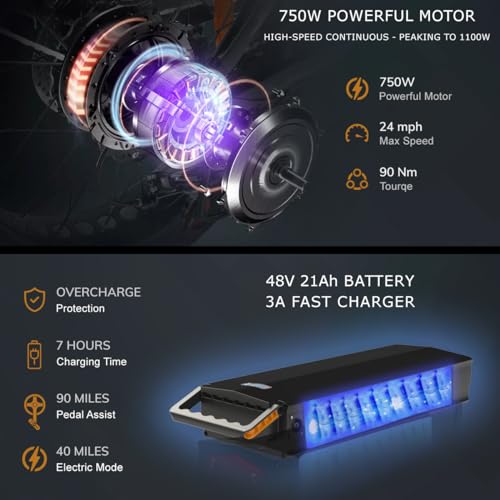 Panda Foldable Electric Trike for Adults, 750W Motor, 3 Wheel Electric Bike with 90-Mile Long Range, Parking Brake, Differential, Fat Tire e Trike with 48V 21Ah Battery