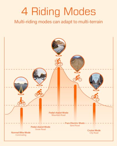 Electric Tricycle for Adults, ECORD 48V/10.4Ah Electric Trike with 500w Motor, Removable Battery, Bike Basket, for Sand Road, City Road, Gravel Road, Snowy Road, etc