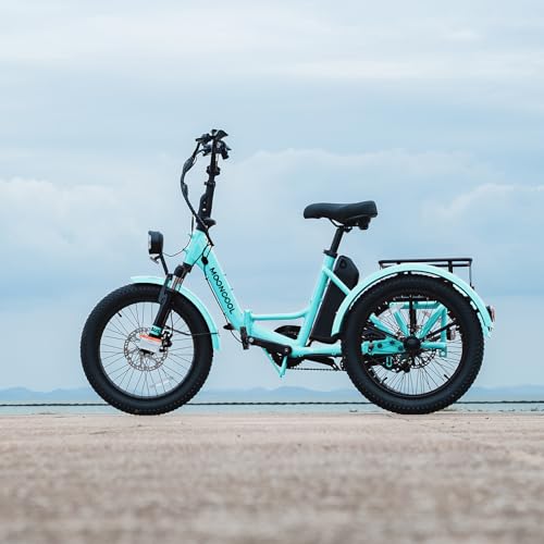 ABORON Electric Tricycle for Adults, 750W 48V Electric Trike/Suspension Fork,Three Wheel Electric Bicycle/48V 14.5Ah Removable Battery, 7 Speeds Fat Tire Electric Tricycle with Large Basket