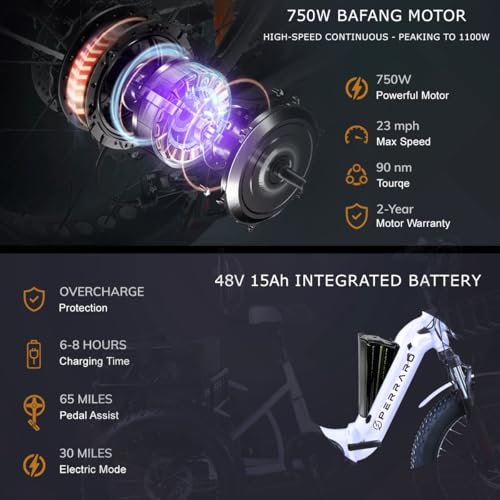 Polar Foldable Electric Trike for Adults, 750W BAFANG Motor, 3 Wheel Electric Bike w/Differential and Parking Brake, 65-Mile Long Range Motorized Tricycle, 450 lbs Load Capacity, 48V Battery
