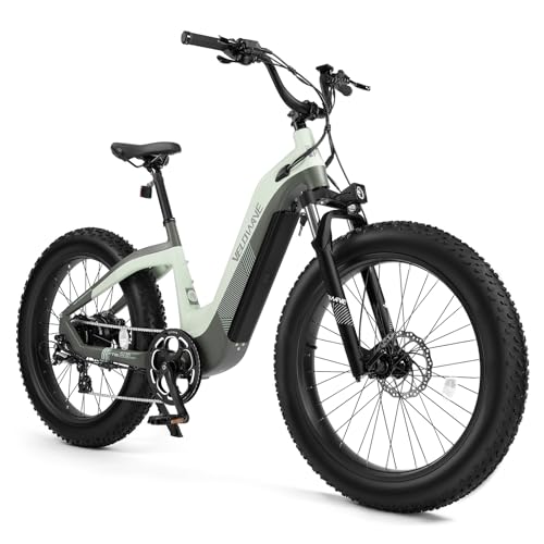 VELOWAVE Grace 2.0 48V 20AH Electric Bike for Adults 750W Bafang Motor Ebike with Fender Shimano 7-Speed 26" x 4.0 Fat Tire Step-Thru Electric Bicycle