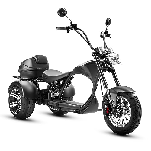eAhora M1P Electric Trike for Adults, 2000W Brushless Motor 26MPH Electric Tricycle,60V 30AH Fast Charge Battery,F&R Disk Brake, Hydraulics Suspension,3 Wheel Electric Bikes