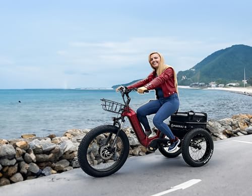 Polar Foldable Electric Trike for Adults, 750W BAFANG Motor, 3 Wheel Electric Bike w/Differential and Parking Brake, 65-Mile Long Range Motorized Tricycle, 450 lbs Load Capacity, 48V Battery
