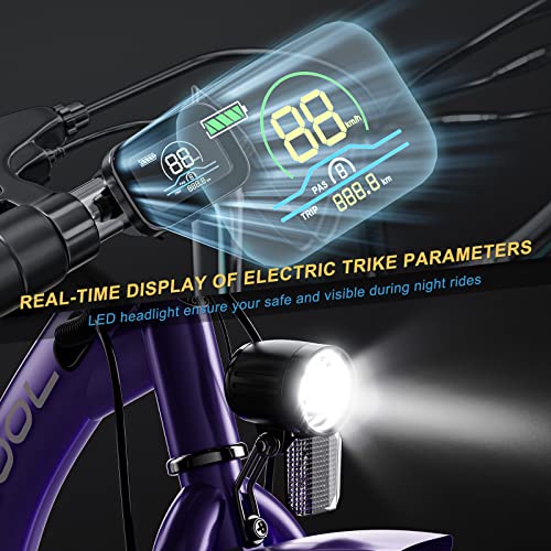 NAIZEA Electric Tricycle Adult Electric Bicycles, 350W 36V Electric Trike, 24" 26" 3 Wheel Electric Bike Ebike E Bicycle with Removable Battery, Motorized Trike with Basket for Women Men