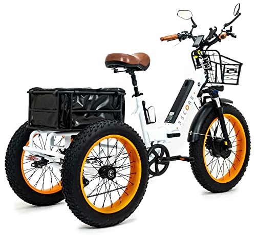 Electric Fat Trike 750W Motor and 48V Lithium Rechargeable Battery - Foldable Electric Tricycle - Etrike 24 Inch Fat Tire