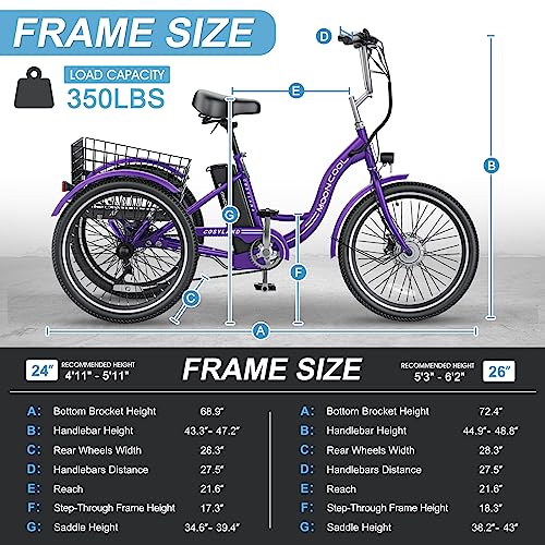 NAIZEA Electric Tricycle Adult Electric Bicycles, 350W 36V Electric Trike, 24" 26" 3 Wheel Electric Bike Ebike E Bicycle with Removable Battery, Motorized Trike with Basket for Women Men