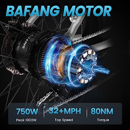 VELOWAVE Electric Bike for Adults 750W BAFANG Motor Peak 1000 28MPH Mountain Ebike 48V 15Ah Removable LG Cells Battery 26'' Fat Tire E Bike Shimano 7-Speed (Step-Over, Silver)