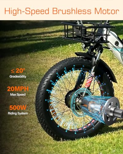 Electric Tricycle for Adults, ECORD 48V/10.4Ah Electric Trike with 500w Motor, Removable Battery, Bike Basket, for Sand Road, City Road, Gravel Road, Snowy Road, etc