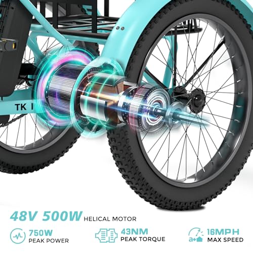 ABORON Electric Tricycle for Adults, 750W 48V Electric Trike/Suspension Fork,Three Wheel Electric Bicycle/48V 14.5Ah Removable Battery, 7 Speeds Fat Tire Electric Tricycle with Large Basket