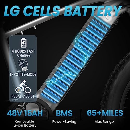 VELOWAVE Electric Bike for Adults 750W BAFANG Motor Peak 1000 28MPH Mountain Ebike 48V 15Ah Removable LG Cells Battery 26'' Fat Tire E Bike Shimano 7-Speed (Step-Over, Silver)