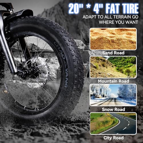 Electric Trike Adults 750W Motor 20" Fat Tire 3 Wheel Electric Bike Dual Removable Batteries Adult Electric Tricycle 50 Miles Range Electric Cargo Bike for Seniors Women Men Outdoor Beach Snow