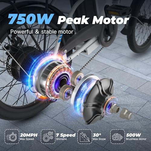 VARUN Electric Bike - Peak 750W Folding Ebike for Adults Up to 40 Miles 20MPH, 48V Removable Lithium-Battery, Stylish 20" Foldable Electric Bicycle Commuter for Women & Men