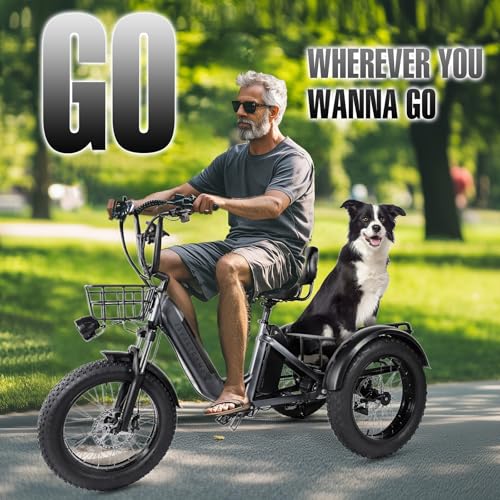 Electric Trike Adults 750W Motor 20" Fat Tire 3 Wheel Electric Bike Dual Removable Batteries Adult Electric Tricycle 50 Miles Range Electric Cargo Bike for Seniors Women Men Outdoor Beach Snow