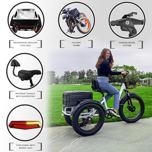 Panda Foldable Electric Trike for Adults, 750W Motor, 3 Wheel Electric Bike with 90-Mile Long Range, Parking Brake, Differential, Fat Tire e Trike with 48V 21Ah Battery