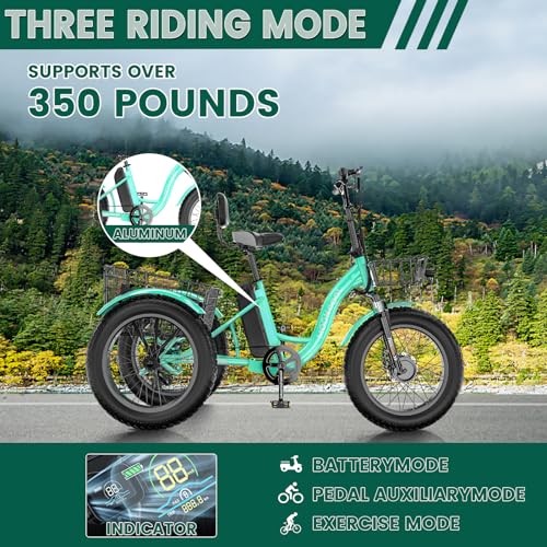 ABORON Electric Tricycle for Adults, Aluminum 20" E-Trike, 500W Power 48V 14.5Ah Lithium Battery UL Certified, Front Suspension 3 Wheels Ebike, Front Basket
