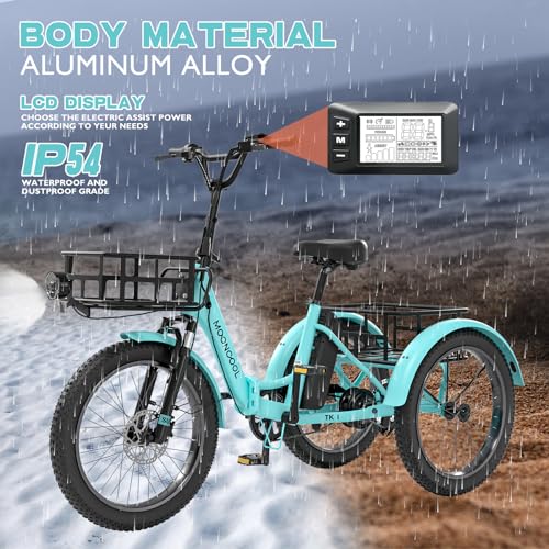 ABORON Electric Tricycle for Adults, 750W 48V Electric Trike/Suspension Fork,Three Wheel Electric Bicycle/48V 14.5Ah Removable Battery, 7 Speeds Fat Tire Electric Tricycle with Large Basket