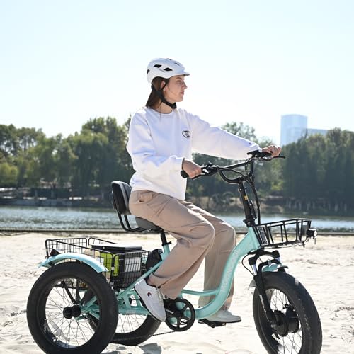 MOONCOOL Electric Tricycle for Adults, 20" x 4" Fat Tire Electric Trike, 48V 500W Motorized Electric Bicycle Bikes, 3 Wheels 7 Speed Ebike with Removable Battery, Aluminum Frame & Large Basket