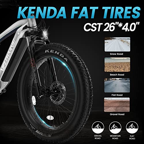 VELOWAVE Electric Bike for Adults 750W BAFANG Motor Peak 1000 28MPH Mountain Ebike 48V 15Ah Removable LG Cells Battery 26'' Fat Tire E Bike Shimano 7-Speed (Step-Over, Silver)