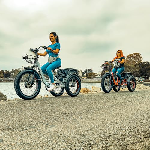 Panda Foldable Electric Trike for Adults, 750W Motor, 3 Wheel Electric Bike with 90-Mile Long Range, Parking Brake, Differential, Fat Tire e Trike with 48V 21Ah Battery