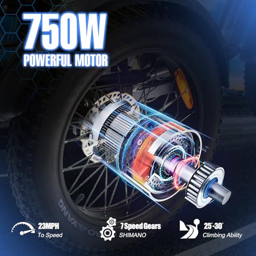 Electric Trike Adults 750W Motor 20" Fat Tire 3 Wheel Electric Bike Dual Removable Batteries Adult Electric Tricycle 50 Miles Range Electric Cargo Bike for Seniors Women Men Outdoor Beach Snow