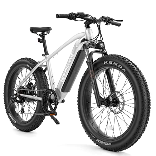 VELOWAVE Electric Bike for Adults 750W BAFANG Motor Peak 1000 28MPH Mountain Ebike 48V 15Ah Removable LG Cells Battery 26'' Fat Tire E Bike Shimano 7-Speed (Step-Over, Silver)