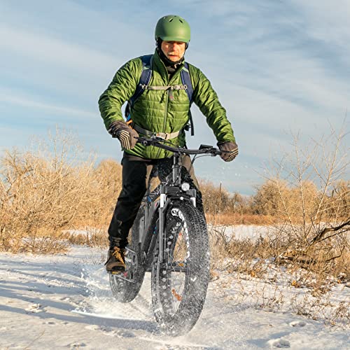 Vivi Electric Bike 26" x 4.0 Fat Tire Electric Bicycle, 1000W Motor Peak Electric Mountain Bike, 25MPH Ebikes for Adults with 48V 13AH Removable Lithium-Ion Battery, Up to 60 Miles,UL 2849 Certified