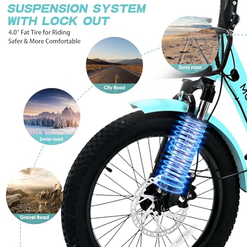 ABORON Electric Tricycle for Adults, 750W 48V Electric Trike/Suspension Fork,Three Wheel Electric Bicycle/48V 14.5Ah Removable Battery, 7 Speeds Fat Tire Electric Tricycle with Large Basket
