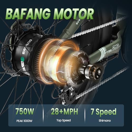 VELOWAVE Grace 2.0 48V 20AH Electric Bike for Adults 750W Bafang Motor Ebike with Fender Shimano 7-Speed 26" x 4.0 Fat Tire Step-Thru Electric Bicycle