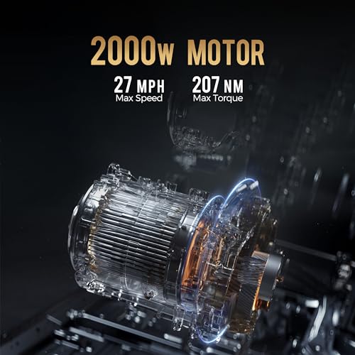 eAhora M1P Electric Trike for Adults, 2000W Brushless Motor 26MPH Electric Tricycle,60V 30AH Fast Charge Battery,F&R Disk Brake, Hydraulics Suspension,3 Wheel Electric Bikes