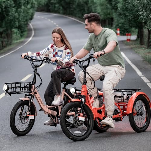 LILYPELLE Electric Trike for Adults, 500W Folding Electric Tricycle Electric Trike, 3 Wheel Electric Bicycle Motorized Three Wheel Ebike with Large Basket for Women Men