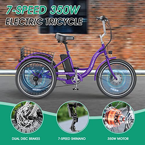 LILYPELLE Electric Tricycle for Adults, 350W 36V Electric Trike Motorized Three Wheel Electric Bicycle, 7 Speeds 3 Wheels 24" Adult Electric Tricycle with Large Basket