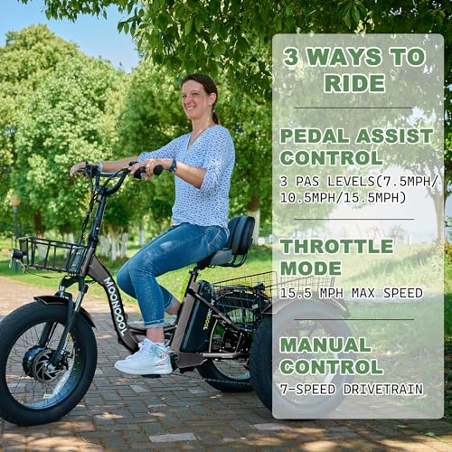 Electric Tricycle Electric Bicycle Electric Trike, 7 Speeds 3 Wheel Electric Bike for Adults with 350W 36V Removable Battery, Electric Cruiser Tricycle