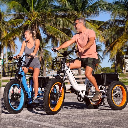 Electric Fat Trike 750W Motor and 48V Lithium Rechargeable Battery - Foldable Electric Tricycle - Etrike 24 Inch Fat Tire