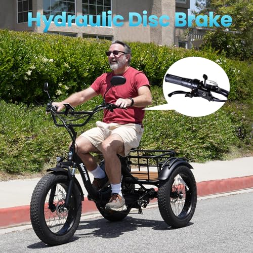 Electric Tricycle for Adults, 750W(Peak 1350W), 48V13Ah Ebike, 20"x4.0" Aluminum Folding Fat Tire 3 Wheel Electric Trike, Max 20MPH Hydraulic Brake, Rear Motor Differential