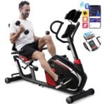 HARISON Magnetic Recumbent Exercise Bike with Arm Exerciser, Recumbent bikes for Adult and Seniors, Recumbent Exercise bike for Home 400 lbs Capacity (XXL)