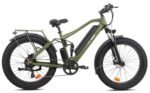 BEE Cool Adventurer Long Range Full Suspension Electric Bike, 750W Mountain eBike, 80MI Range, 48V 21Ah Battery 26"x4" Fat Tire, 350LBS Payload, 28MPH, 7 Speed from Bikes - Image 2