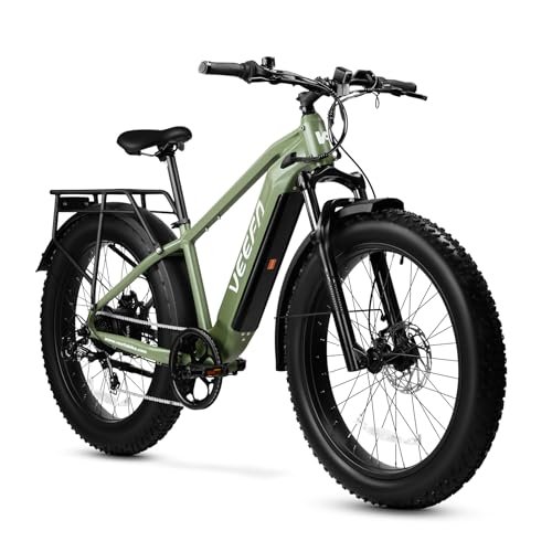 Version 1.0.0 VEEFA Electric Bike for Adults 750W/Peak 1000W Motor 48V 13AH Removable Battery Electric Bicycle 26" x 4.0" Fat Tire Mountain Ebike 28MPH E Bike 7-Speed UL 2849 Certified - Image 1