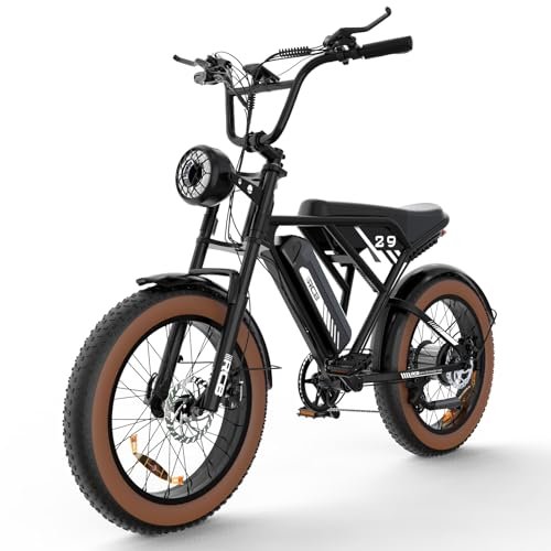 Version 1.0.0 RCB 750W Electric Bike for Adults RK29M, 48V 15Ah Battery Fat Tire Electric Bike, 29MPH 60MI Long Range Electric Mountain Bike,7-Speed Ebike with UL Certified - Image 1