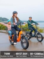 HAOQI Electric Bike for Adults, 750w(Peak 1300w) Brushless Motor,48V 27.8Ah Dual Battery for 90-120 Miles Range,20 * 4" Fat Tire Cargo Ebike, 450lbs Weight Capacity with Front and Rear Baskets - Image 6