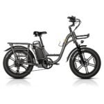 20X4'' Fat Tire Step-Thru Electric Bike 750W Cargo Ebike, 400lbs Payload,48V 15AH Removable Battery, Ebike up to 28MPH, Hydraulic Brake, 7-Speed Electric Bike for Adults with UL