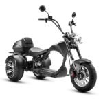 eAhora M1P Electric Trike for Adults, 2000W Brushless Motor 26MPH Electric Tricycle,60V 30AH Fast Charge Battery,F&R Disk Brake, Hydraulics Suspension,3 Wheel Electric Bikes