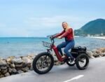 Polar Foldable Electric Trike for Adults, 750W BAFANG Motor, 3 Wheel Electric Bike w/Differential and Parking Brake, 65-Mile Long Range Motorized Tricycle, 450 lbs Load Capacity, 48V Battery - Image 2