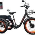 Panda Foldable Electric Trike for Adults, 750W Motor, 3 Wheel Electric Bike with 90-Mile Long Range, Parking Brake, Differential, Fat Tire e Trike with 48V 21Ah Battery
