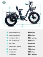 EMOJO Fully Assembled Caddy Pro 500W 20 x 4.0 Inch Fat Tire Electric Tricycle for Adults Hydraulic Disk Brakes Ebike Trike 7 Speed Pedal Assist 3 Wheel Electric Bike with 48V 15.6Ah Battery (Red) - Image 6