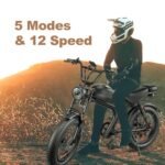 Ronson Electric Bike for Adults，Dual Motor Ebike，1000W/2000w Electric Bike，Fat Tire Ebike with 48V/20Ah/23Ah Battery，80 Miles Bike Electric,12-Speed E-Bike and Passed UL&GCC Certification - Image 2