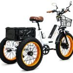 Electric Fat Trike 750W Motor and 48V Lithium Rechargeable Battery - Foldable Electric Tricycle - Etrike 24 Inch Fat Tire