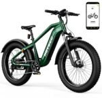 HOVSCO Electric Bike, 26"x 4" Fat Tire Ebike for Adults, 750W Motor Torque Sensor Mountain Bike 28Mph, 48V 20Ah Removable Battery 80Miles Adult Electric Bicycle