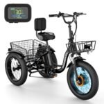 Electric Tricycle Electric Bicycle Electric Trike, 7 Speeds 3 Wheel Electric Bike for Adults with 350W 36V Removable Battery, Electric Cruiser Tricycle